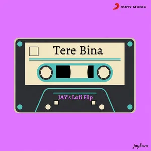 Tere Bina - Lofi Flip Song Poster